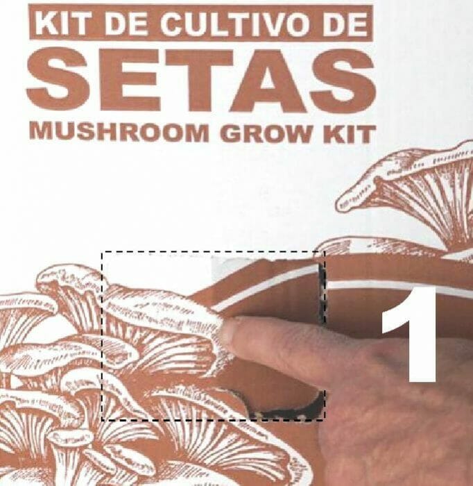 kit-cultivo-setas-ventana