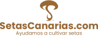 Logo setascanarias